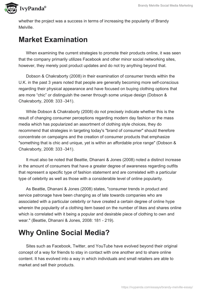 Brandy Melville Social Media Marketing. Page 2