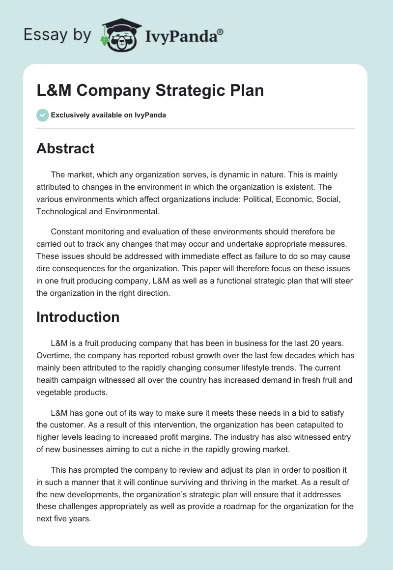 L&M Company Strategic Plan. Page 1