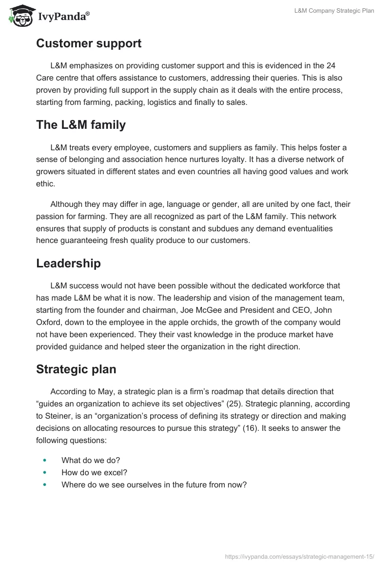 L&M Company Strategic Plan. Page 3