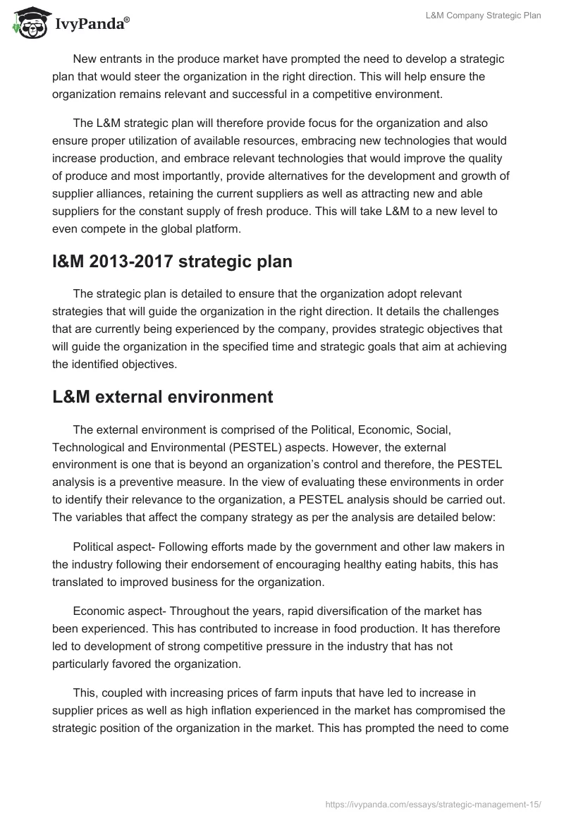 L&M Company Strategic Plan. Page 4