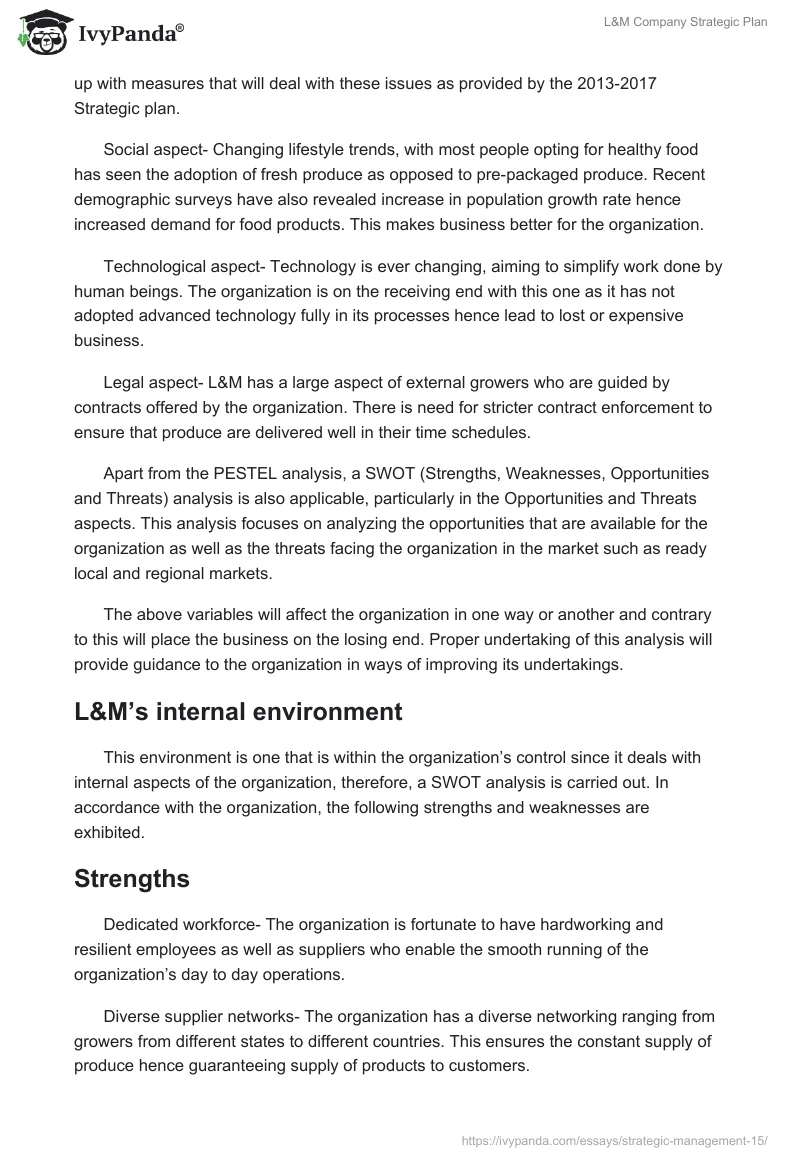 L&M Company Strategic Plan. Page 5