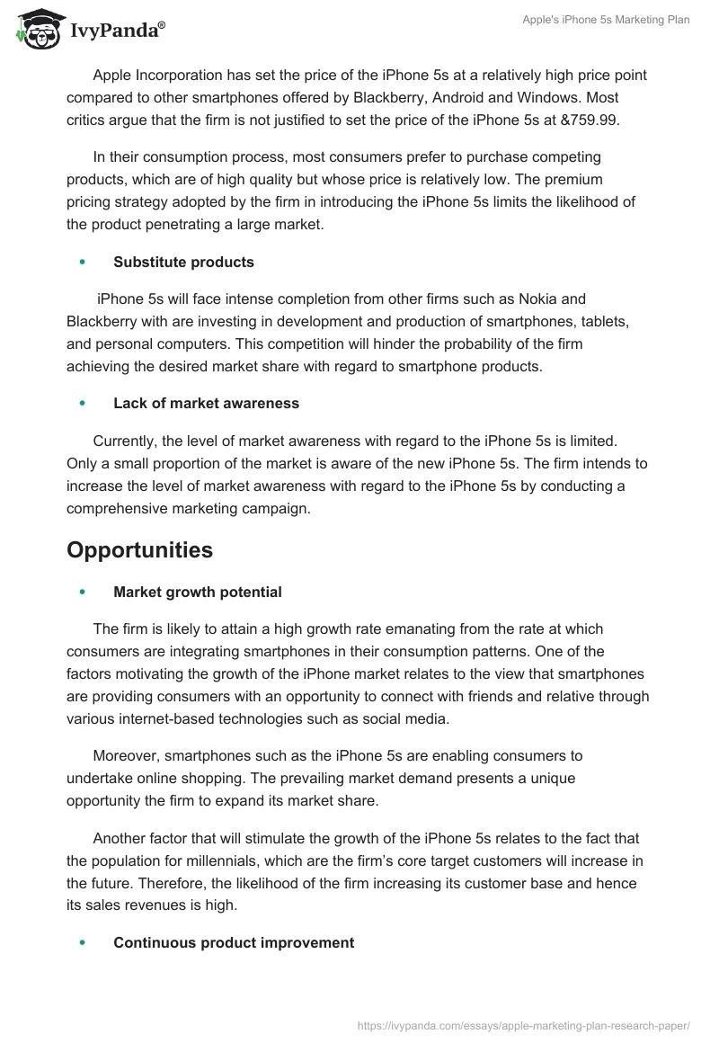 Apple's iPhone 5s Marketing Plan. Page 3