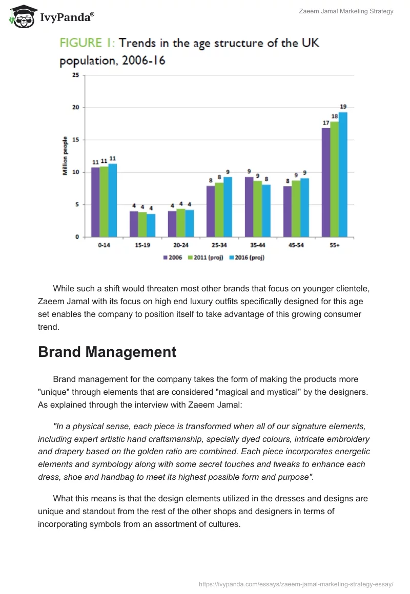 Zaeem Jamal Marketing Strategy. Page 3