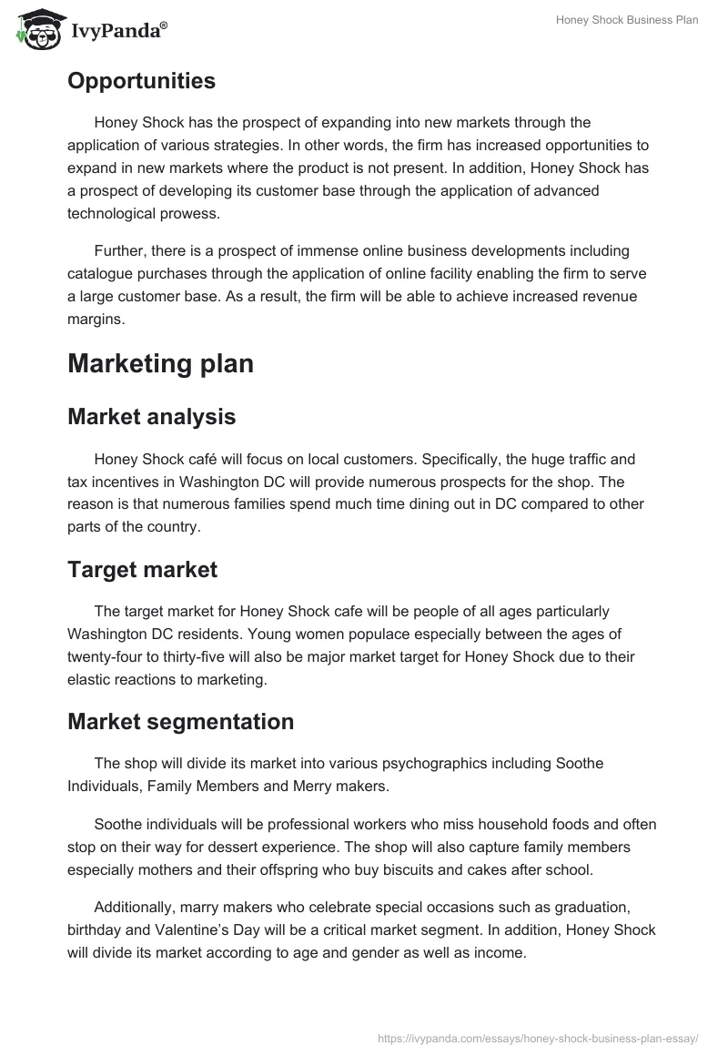 Honey Shock Business Plan. Page 5