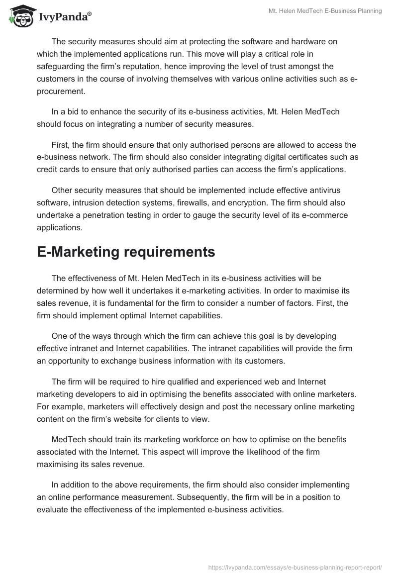 Mt. Helen MedTech E-Business Planning. Page 5
