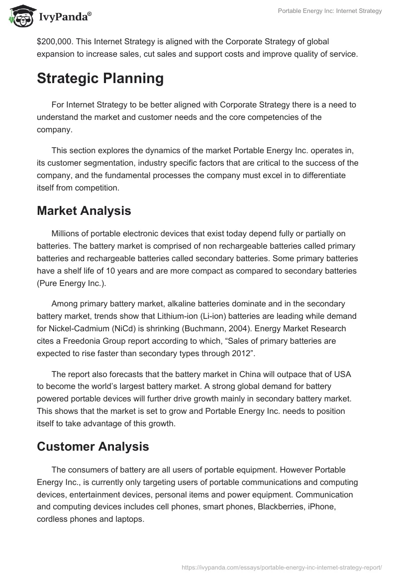 Portable Energy Inc: Internet Strategy. Page 2