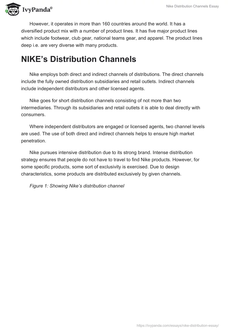Nike Distribution Channels Essay. Page 2