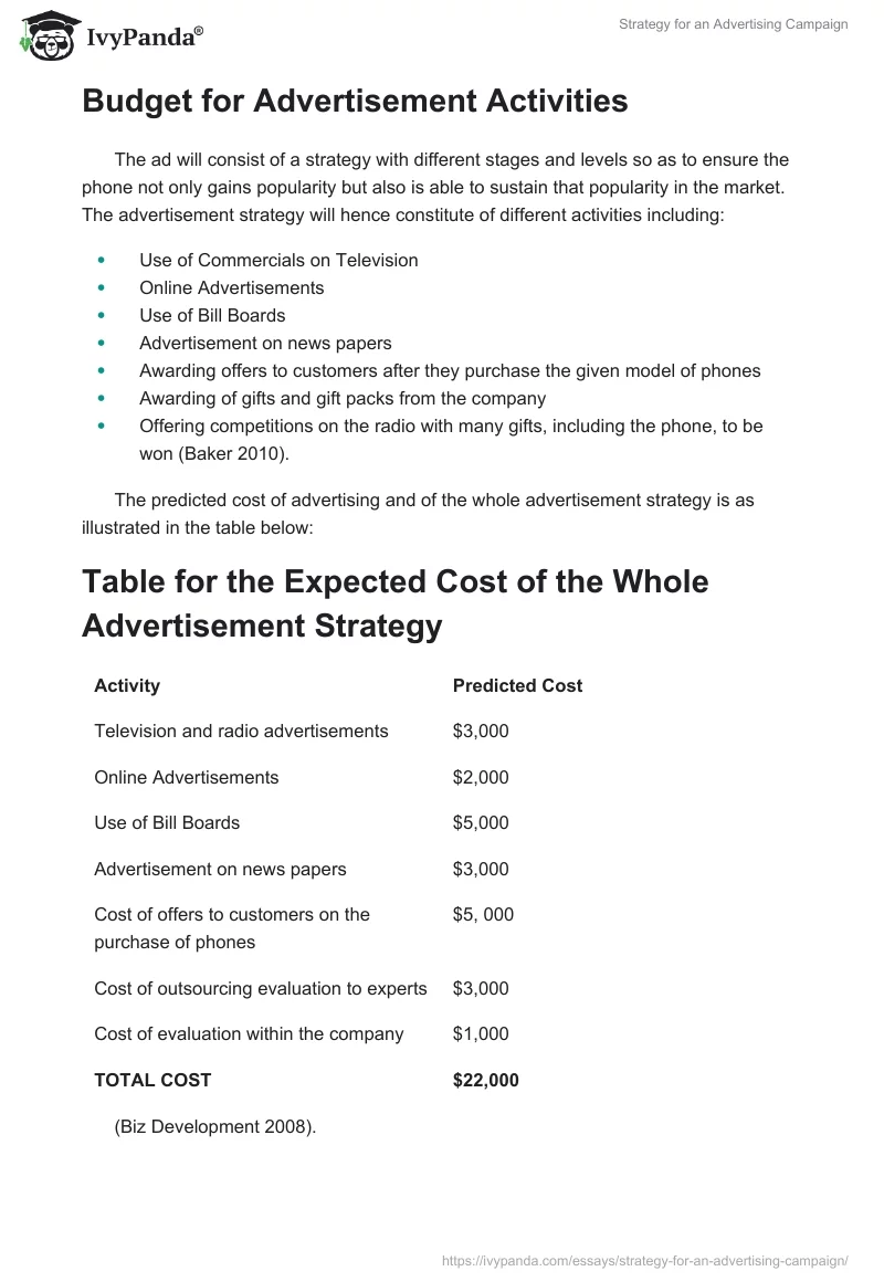 Strategy for an Advertising Campaign. Page 2