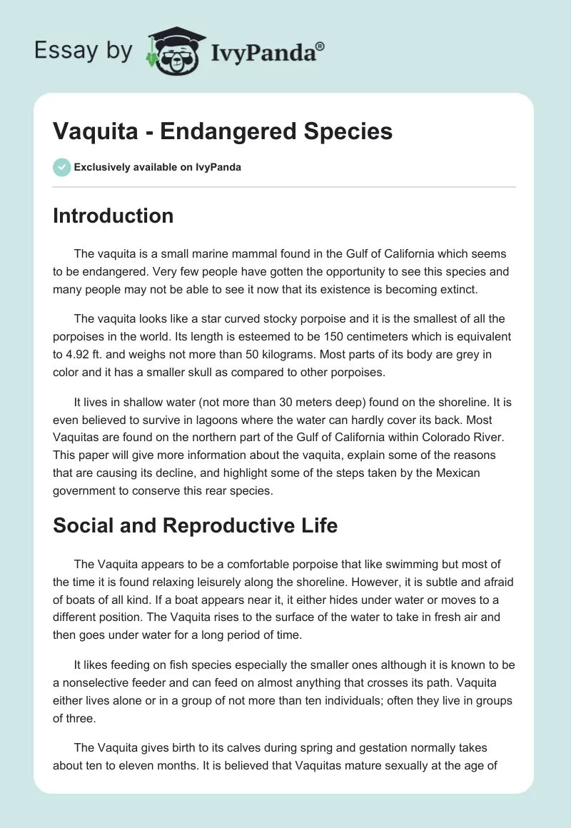 Vaquita - Endangered Species. Page 1