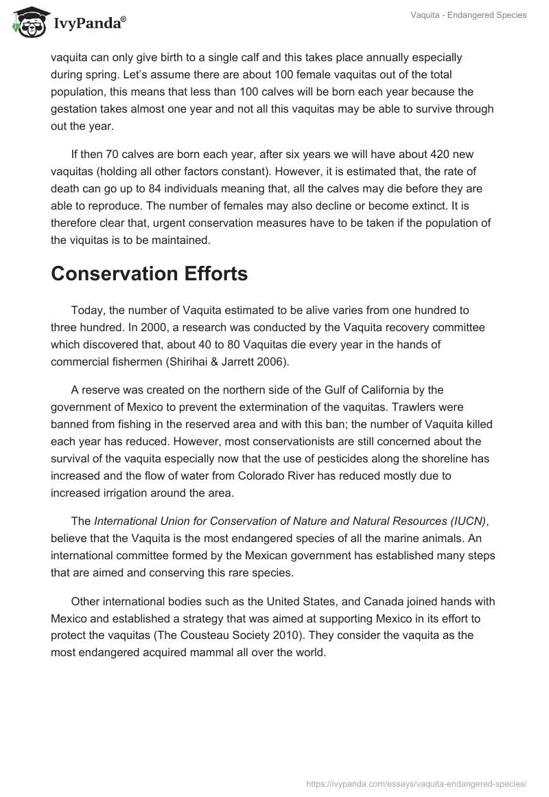 Vaquita - Endangered Species. Page 3