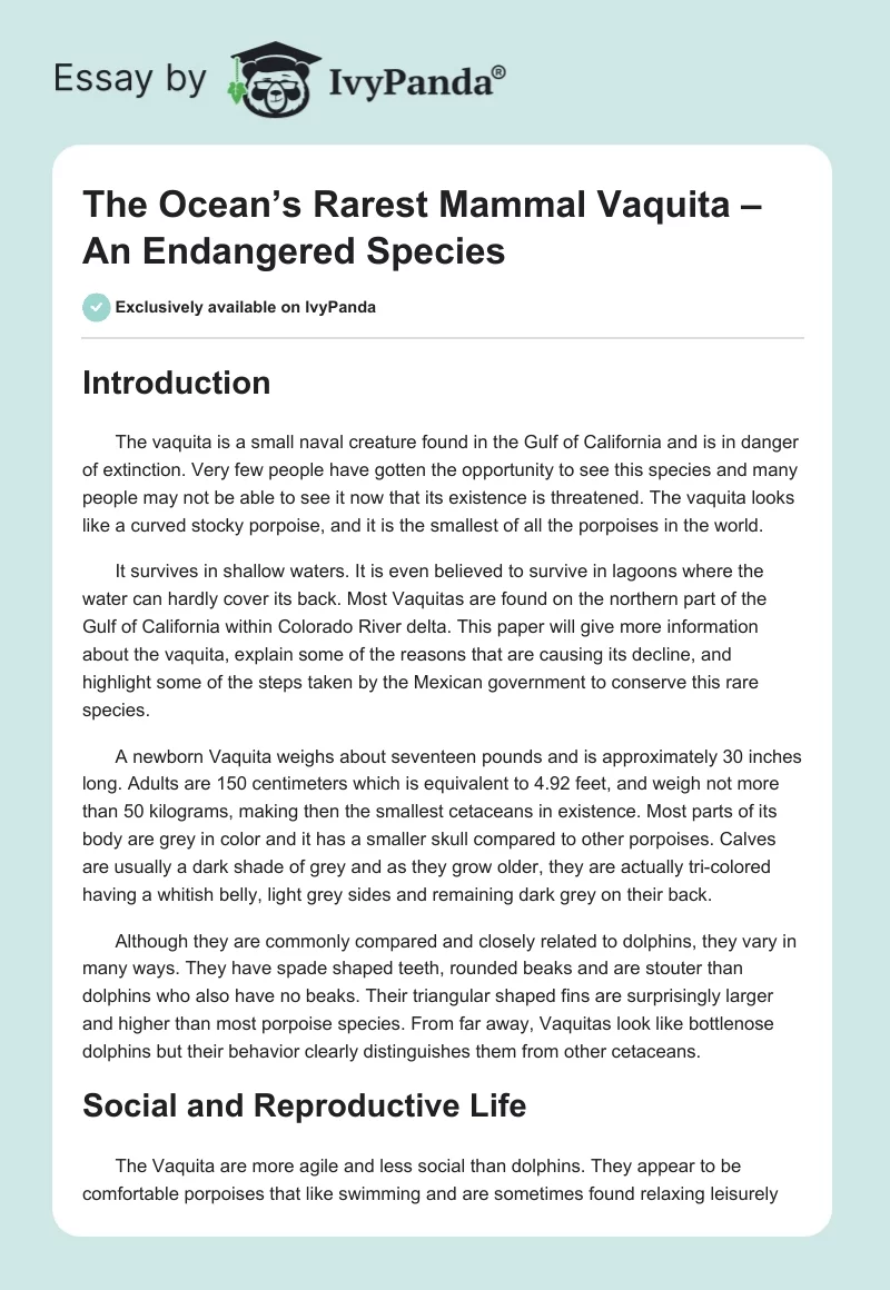 The Ocean’s Rarest Mammal Vaquita – An Endangered Species. Page 1