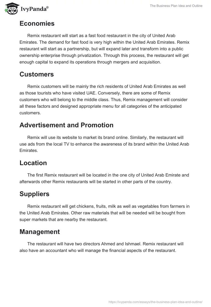 The Business Plan Idea and Outline. Page 3