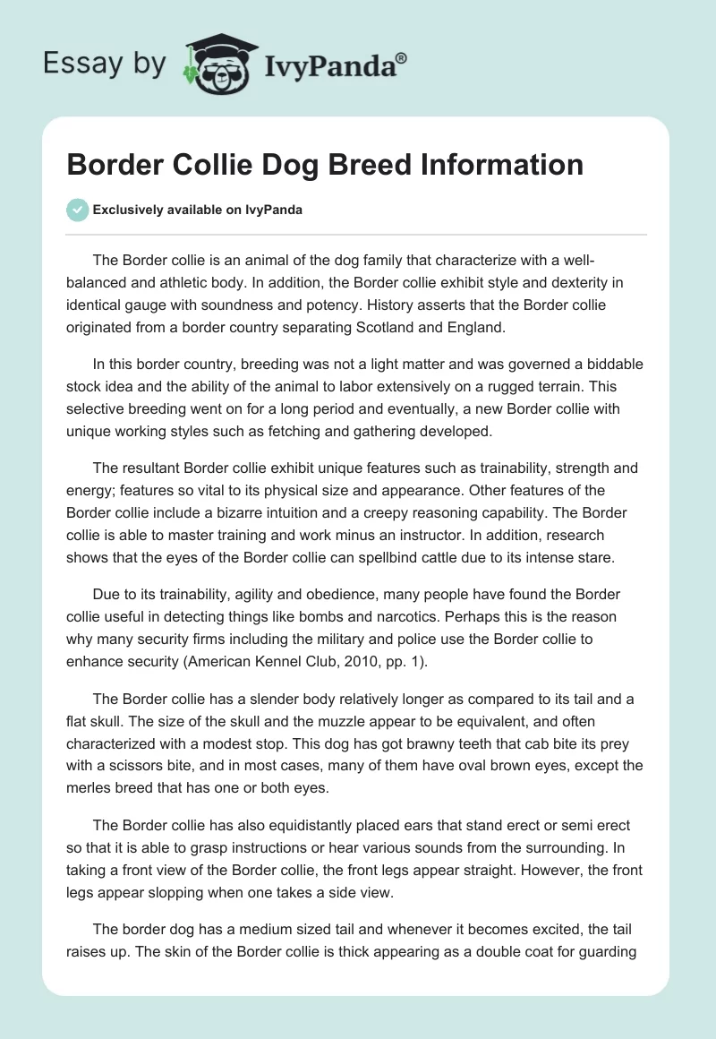 Border Collie Dog Breed Information. Page 1