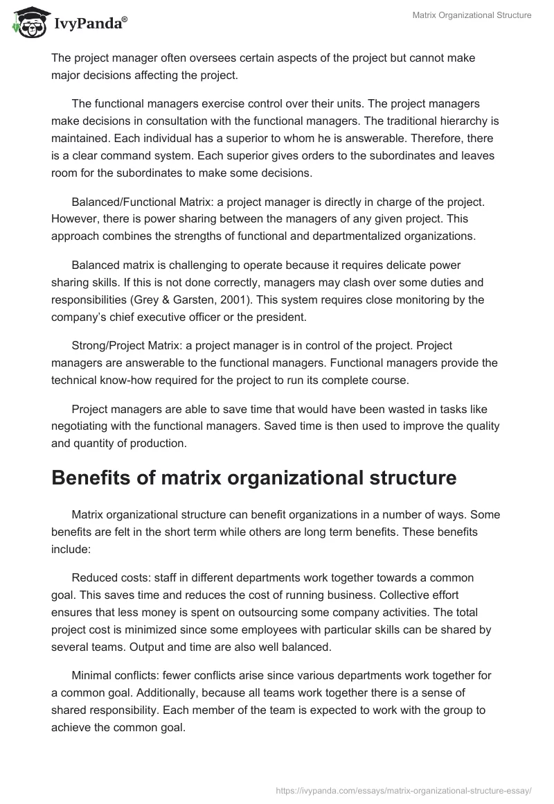 Matrix Organizational Structure. Page 2