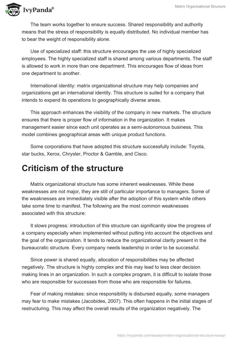 Matrix Organizational Structure. Page 3
