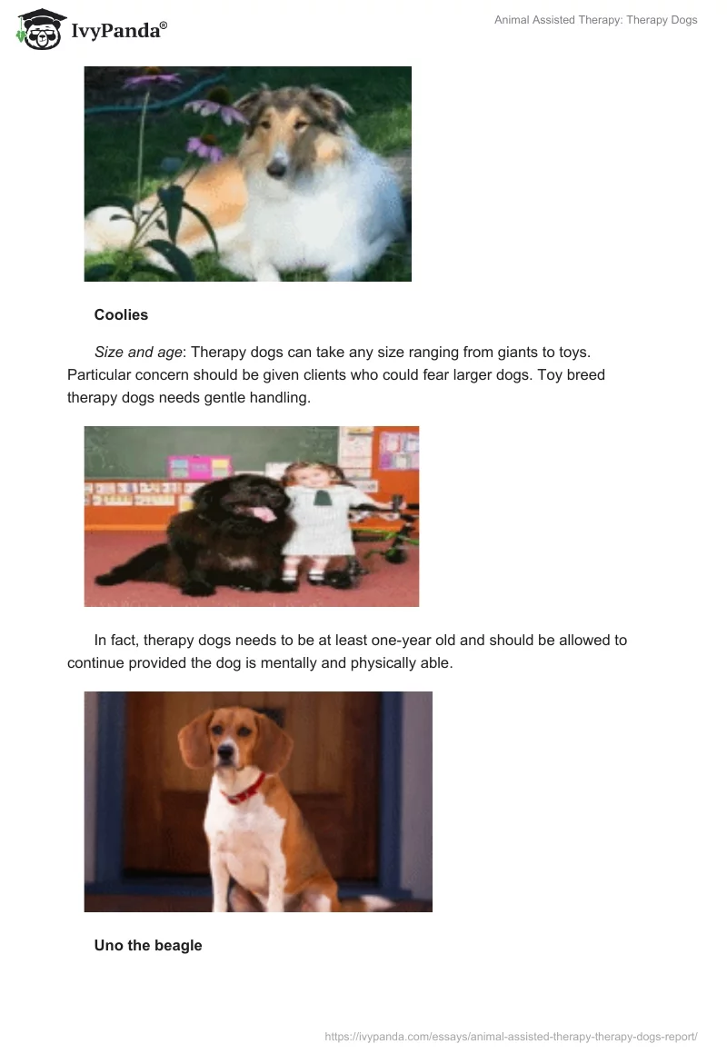 Animal Assisted Therapy: Therapy Dogs. Page 4
