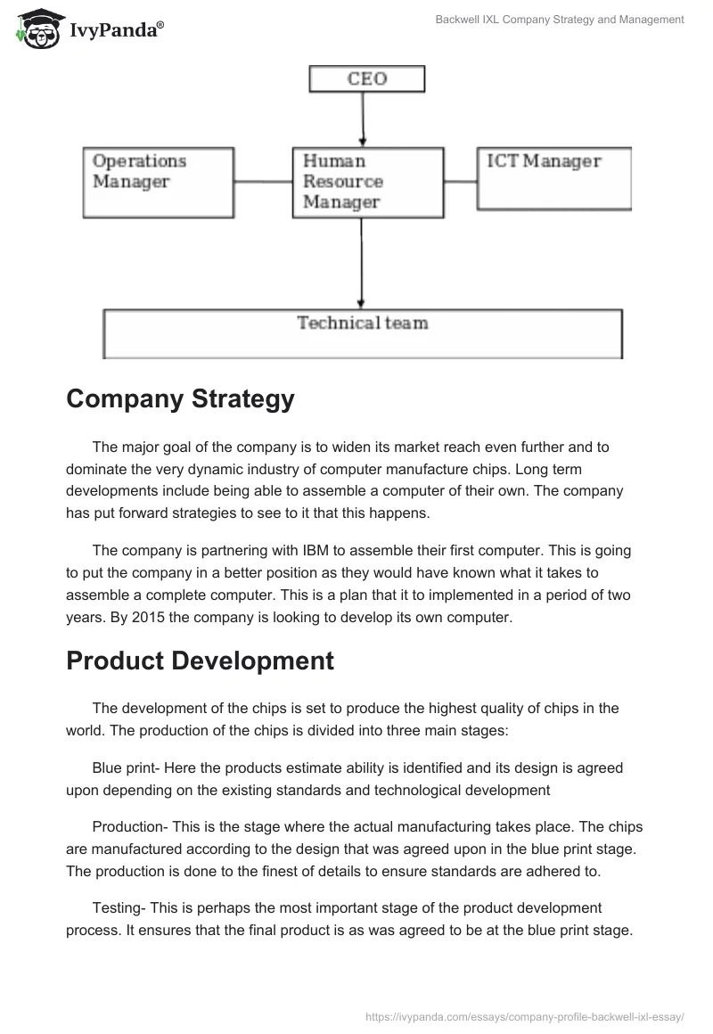 Backwell IXL Company Strategy and Management. Page 2