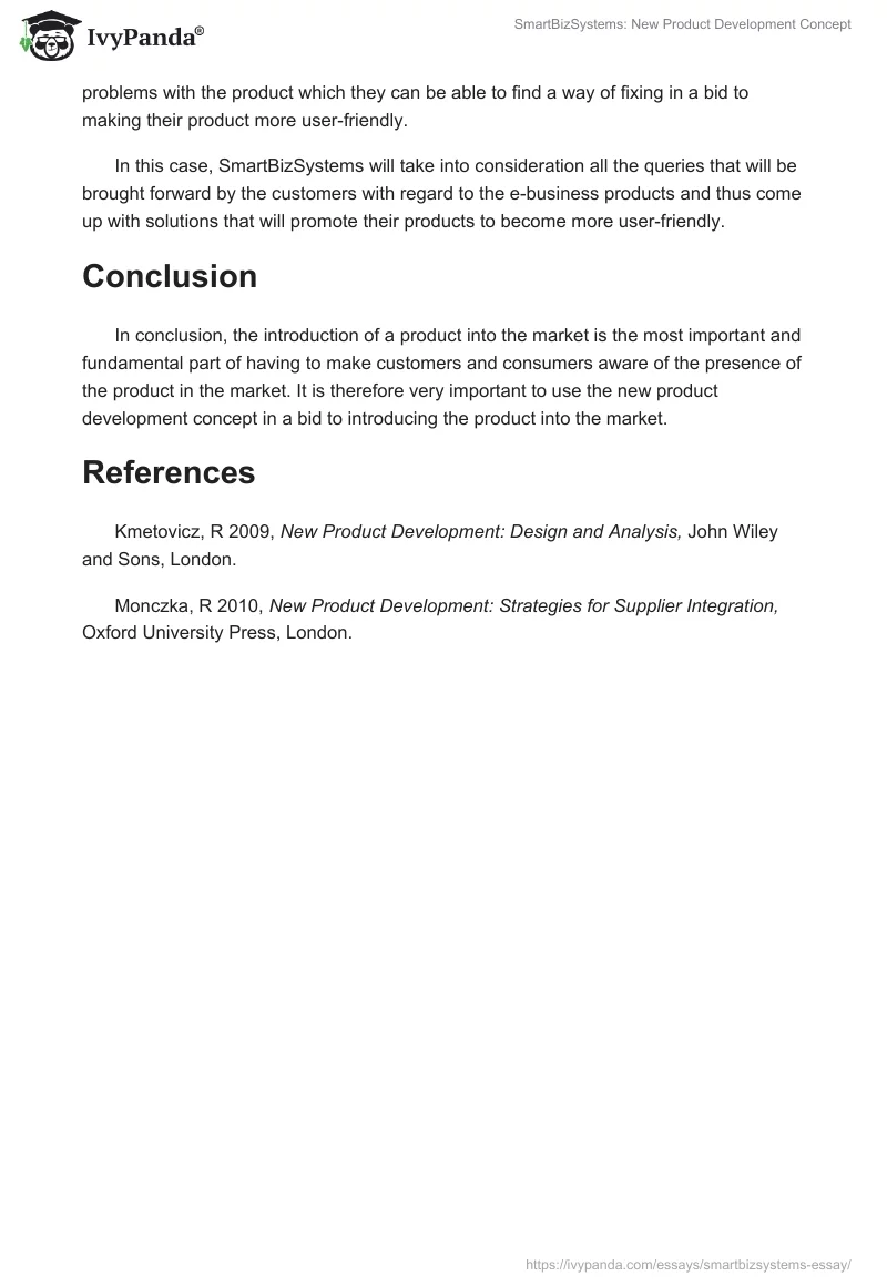 SmartBizSystems: New Product Development Concept. Page 3