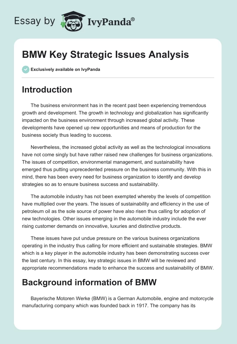 BMW Key Strategic Issues Analysis. Page 1