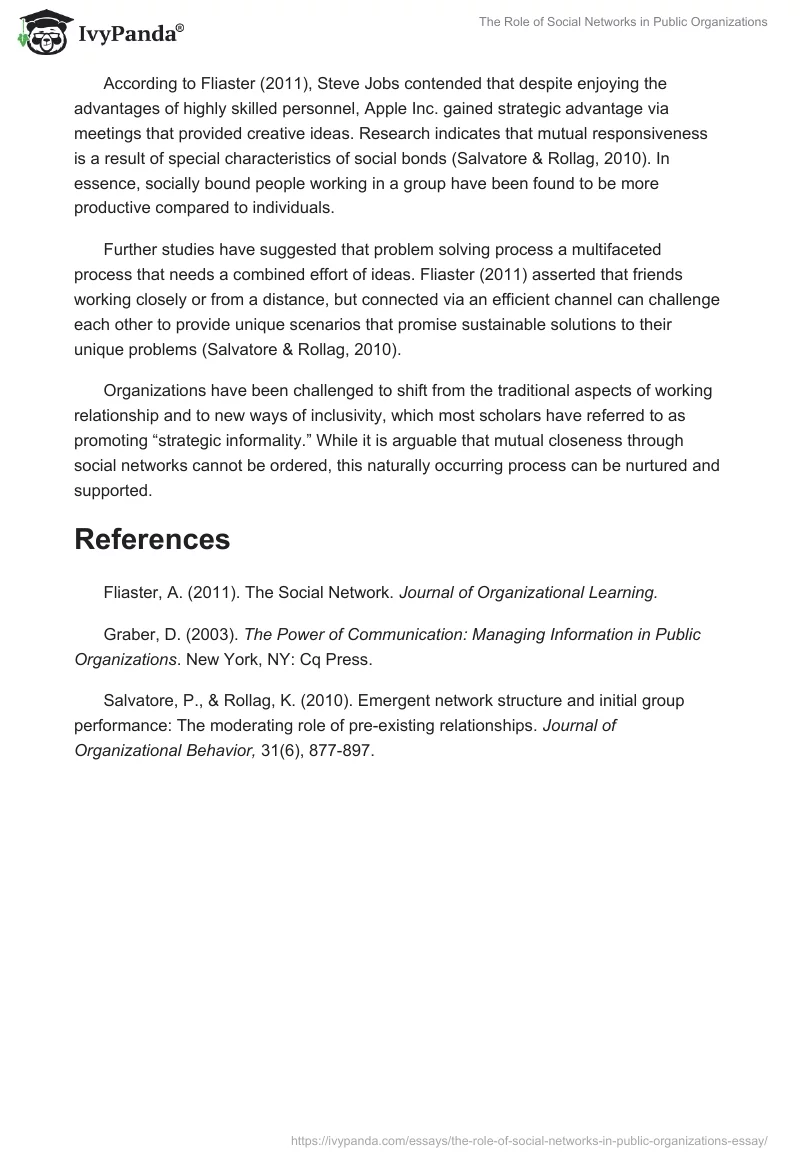 The Role of Social Networks in Public Organizations. Page 3