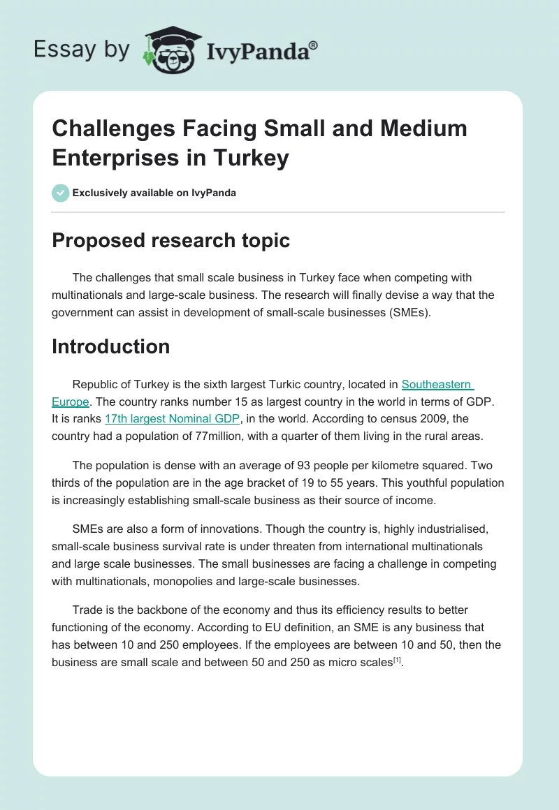 Challenges Facing Small and Medium Enterprises in Turkey. Page 1