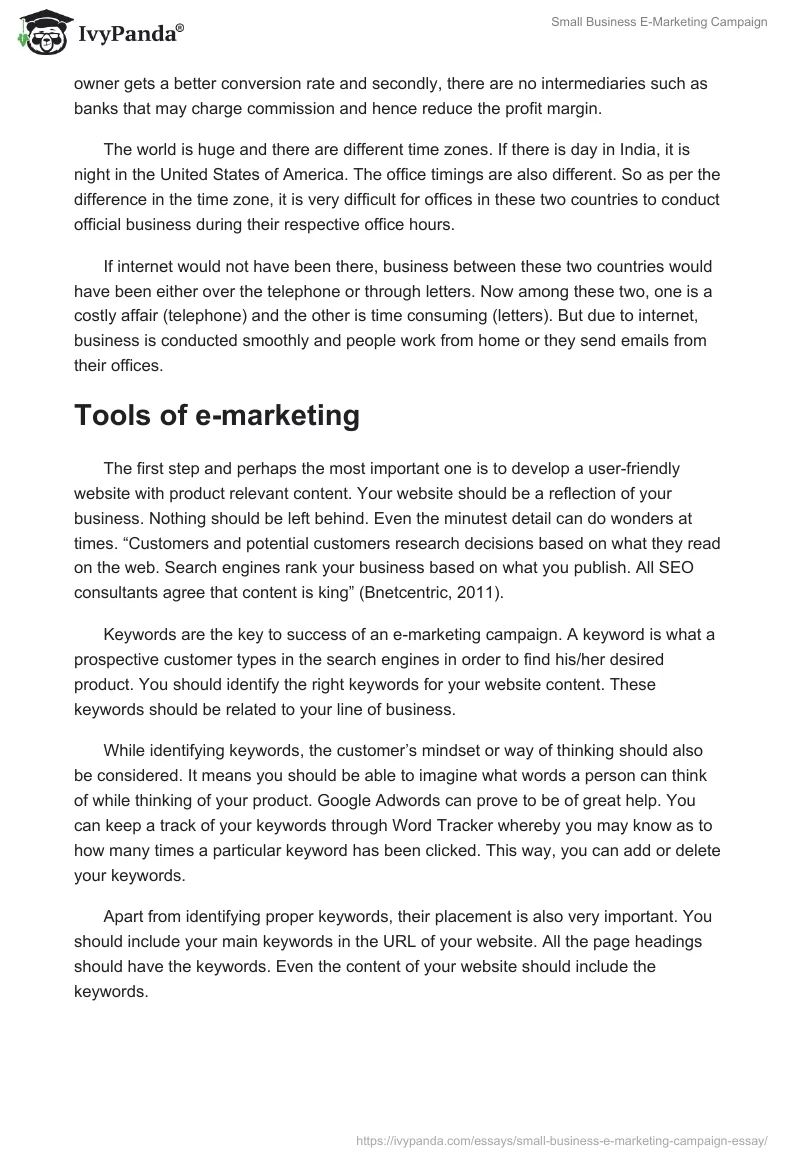 Small Business E-Marketing Campaign. Page 3