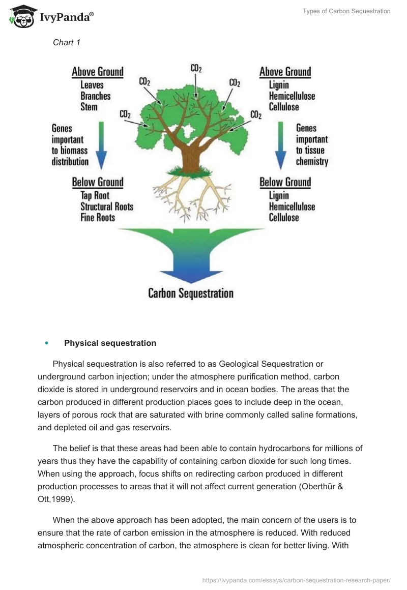 Types of Carbon Sequestration. Page 3