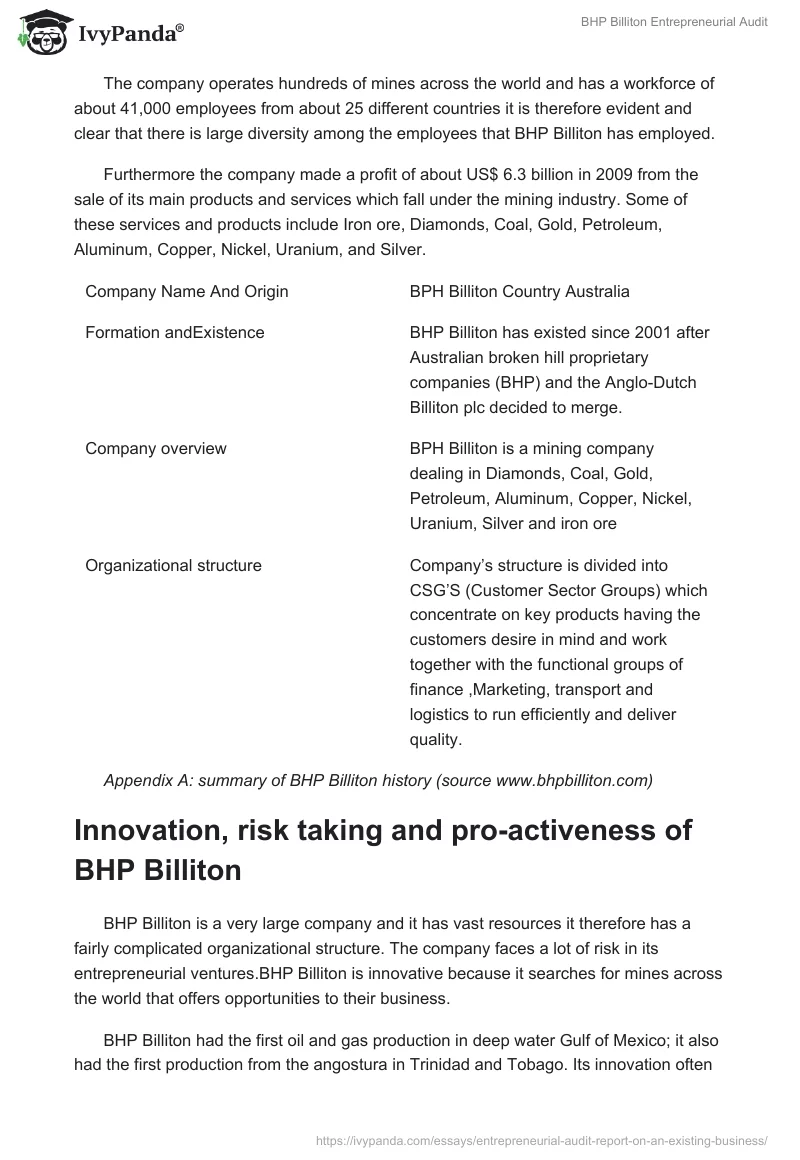 BHP Billiton Entrepreneurial Audit. Page 2