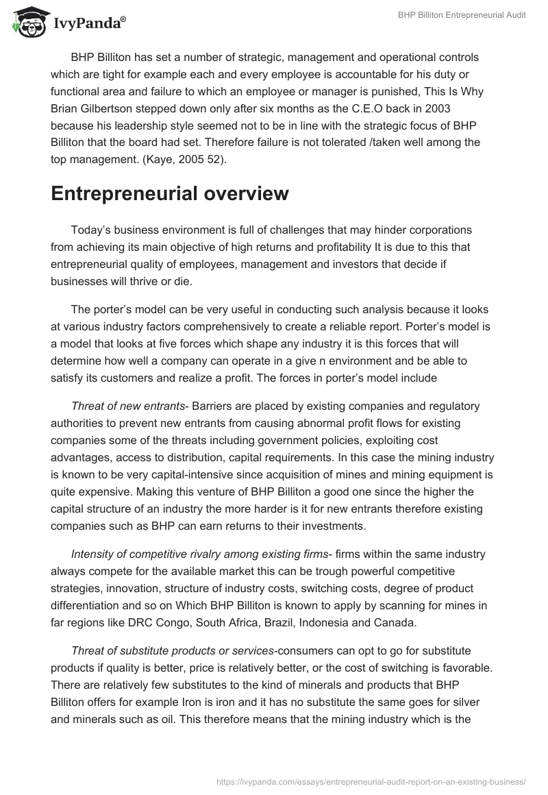 BHP Billiton Entrepreneurial Audit. Page 4
