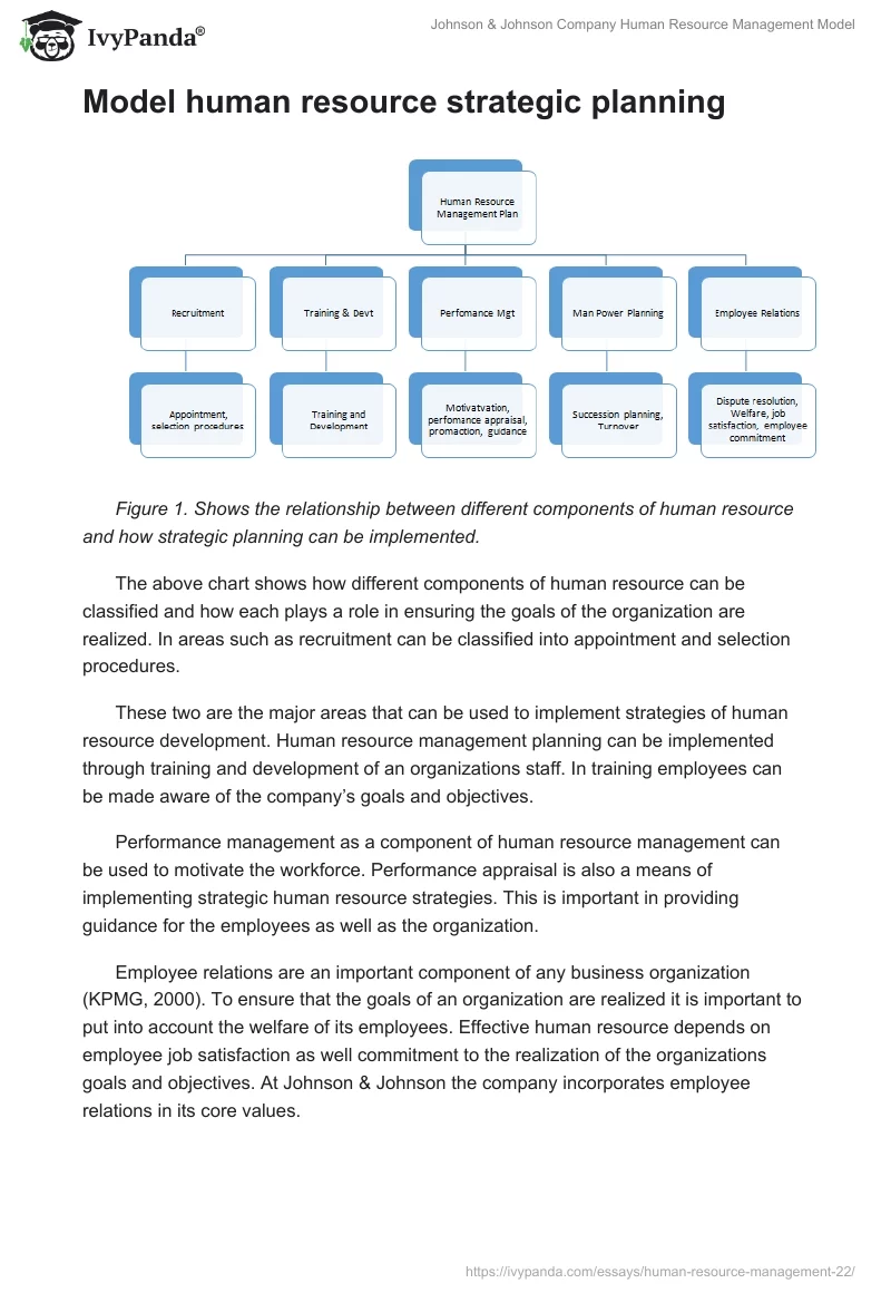Johnson & Johnson Company Human Resource Management Model. Page 4