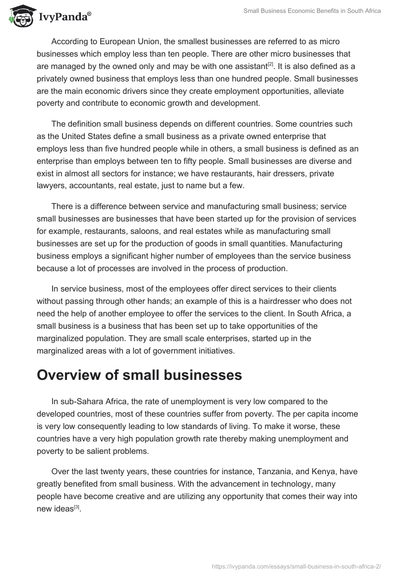 Small Business Economic Benefits in South Africa. Page 2