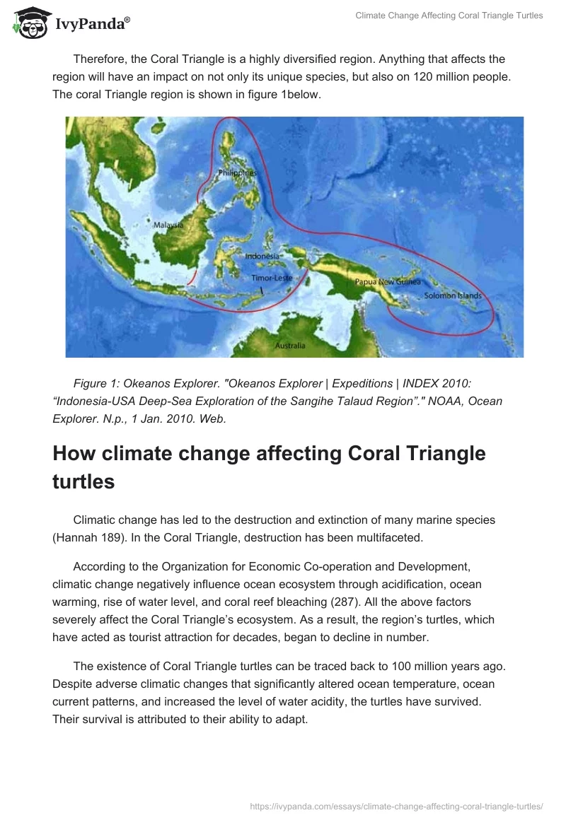 Climate Change Affecting Coral Triangle Turtles. Page 2