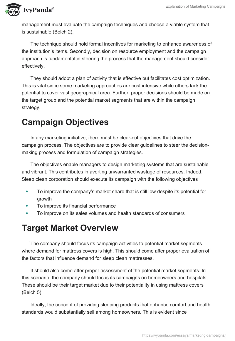Explanation of Marketing Campaigns. Page 2