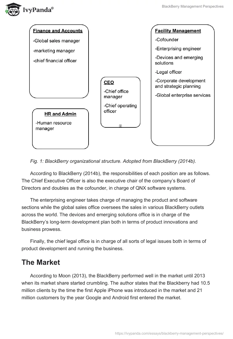 BlackBerry Management Perspectives. Page 3