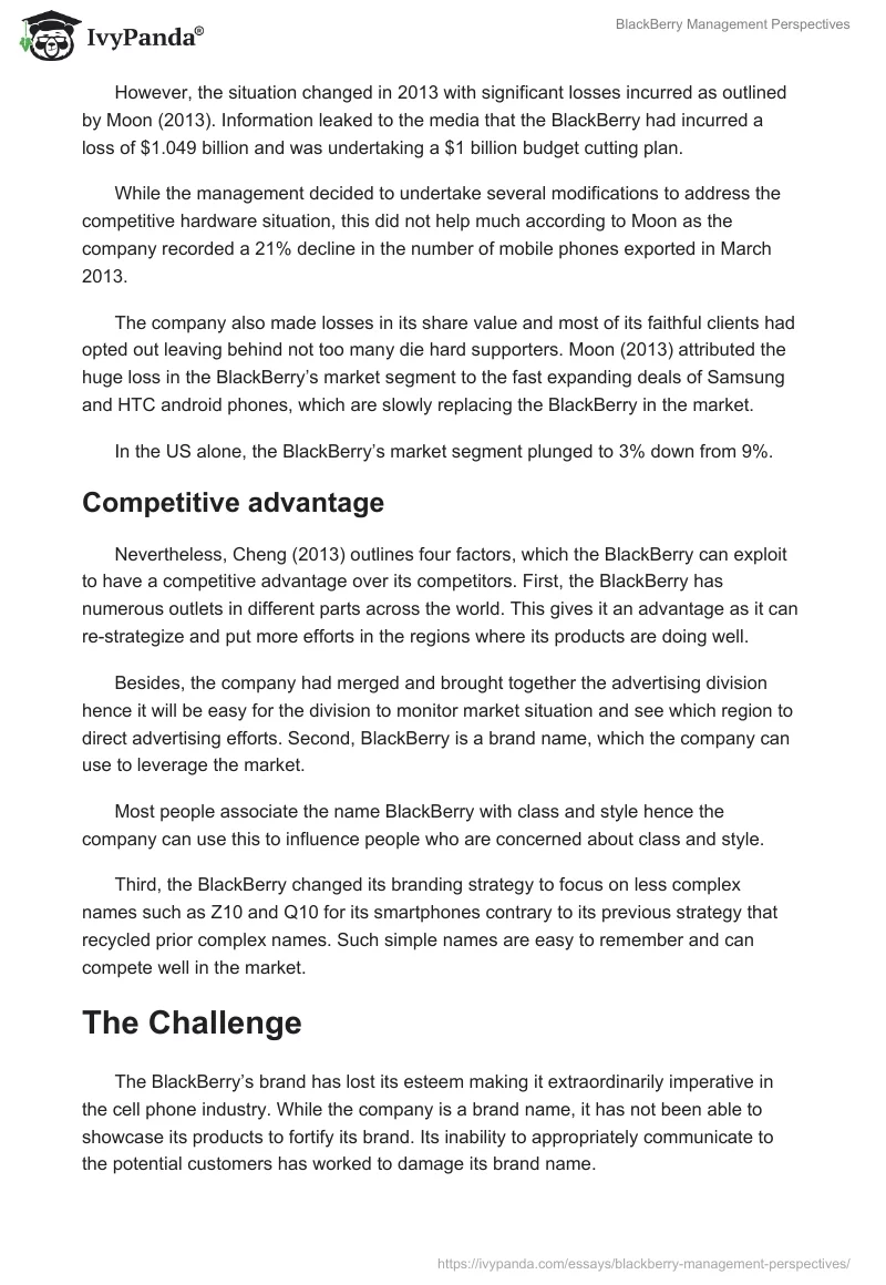 BlackBerry Management Perspectives. Page 4