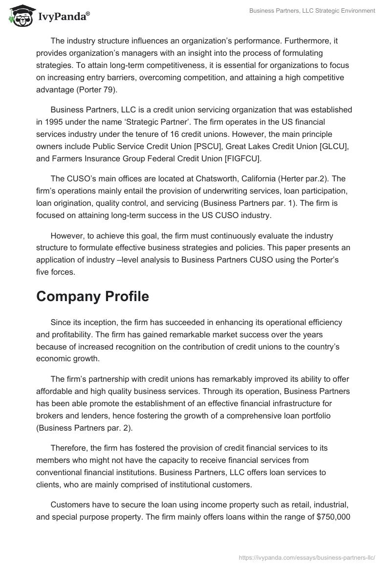 Business Partners, LLC Strategic Environment. Page 2