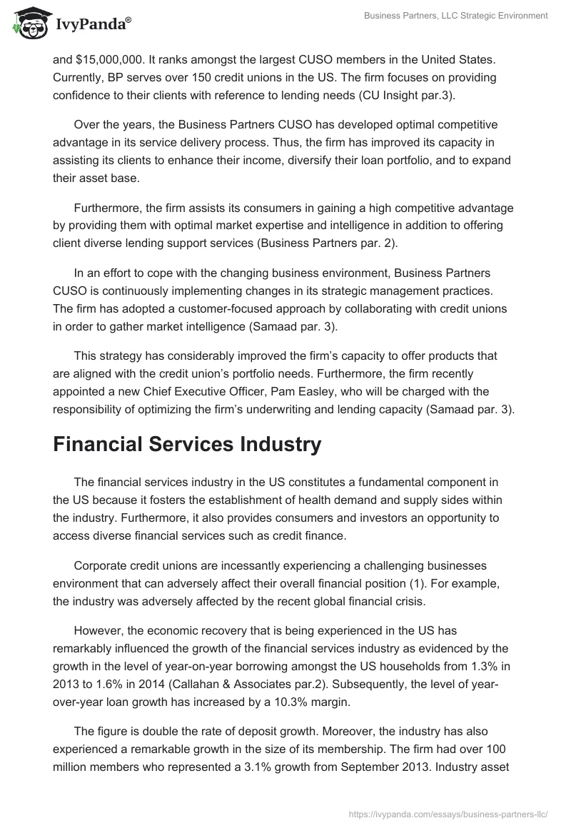 Business Partners, LLC Strategic Environment. Page 3