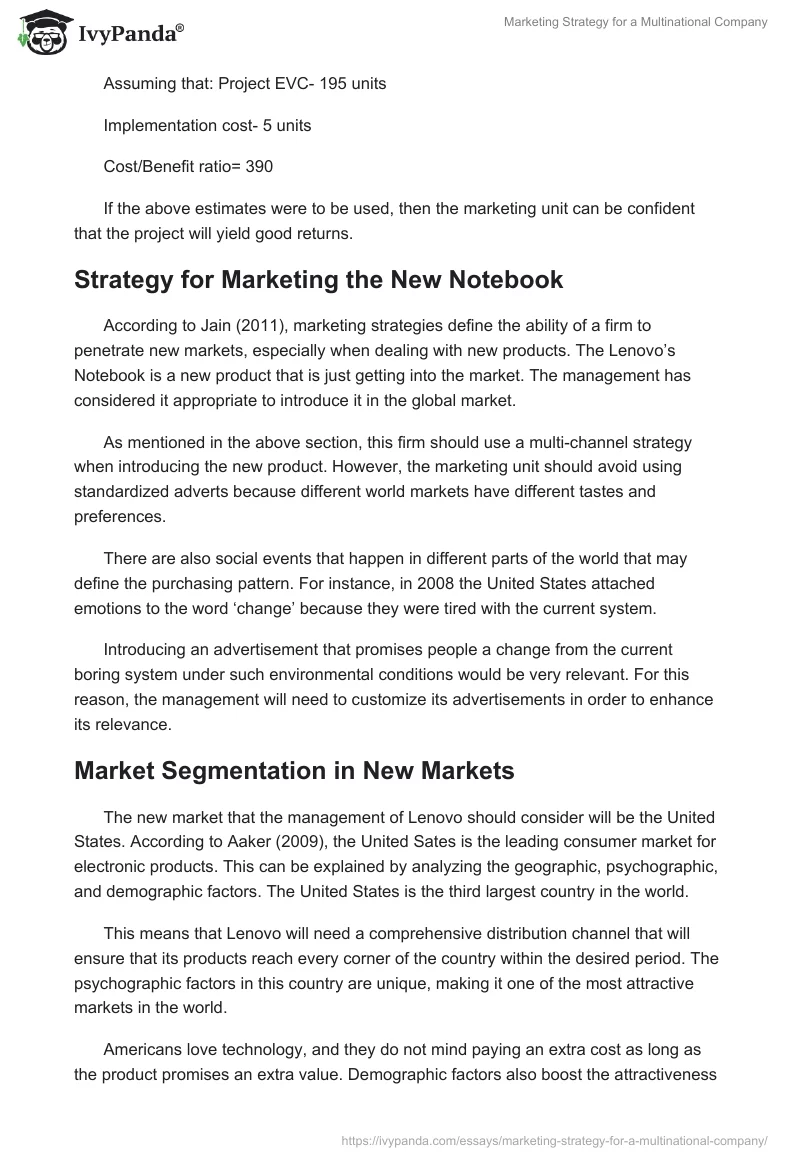 Marketing Strategy for a Multinational Company. Page 2