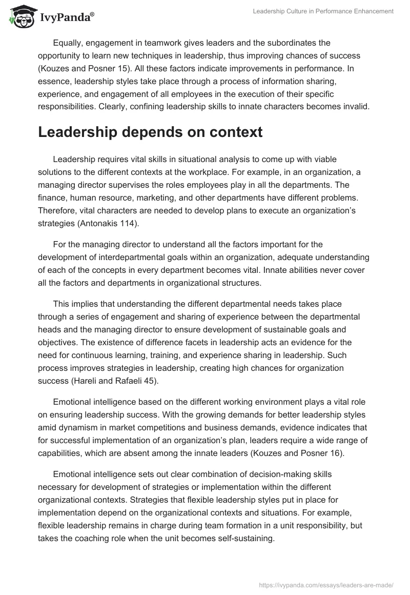 Leadership Culture in Performance Enhancement. Page 3
