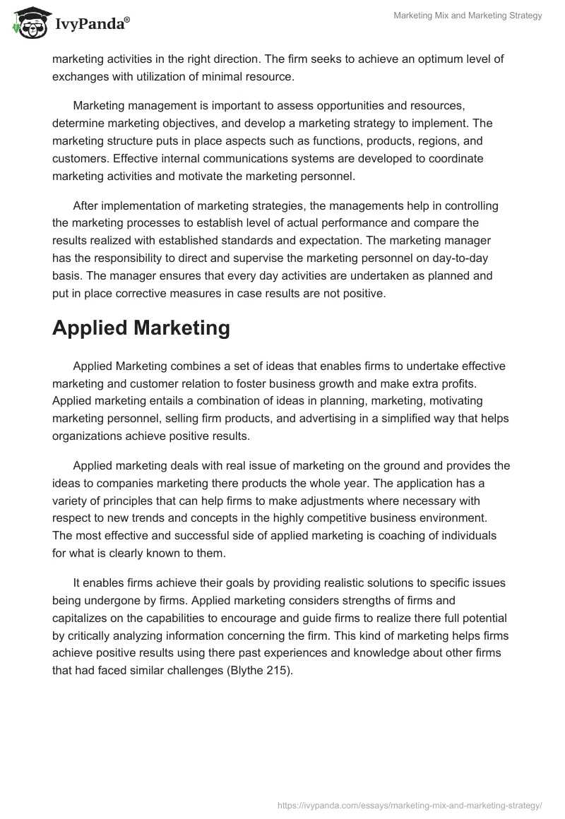 Marketing Mix and Marketing Strategy. Page 3
