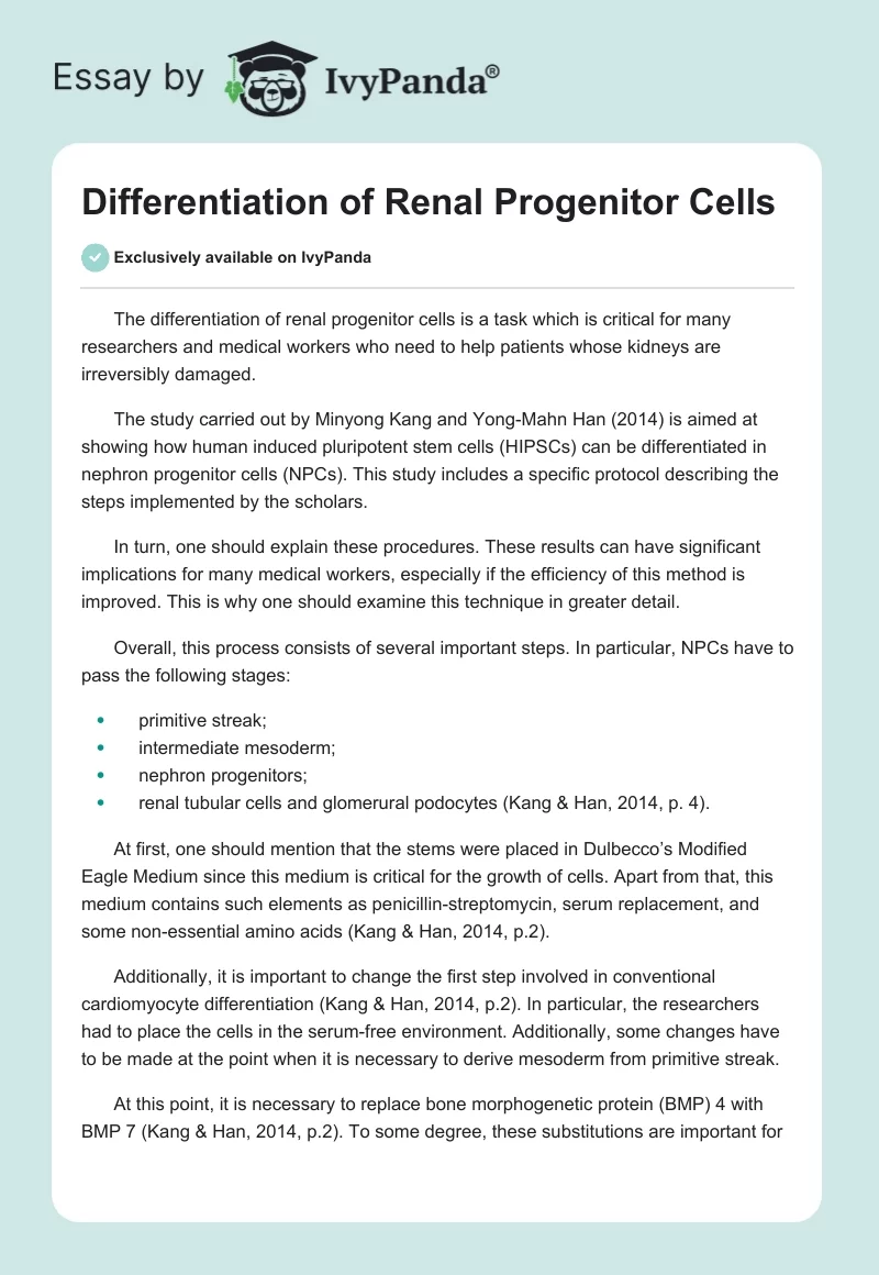 Differentiation of Renal Progenitor Cells. Page 1