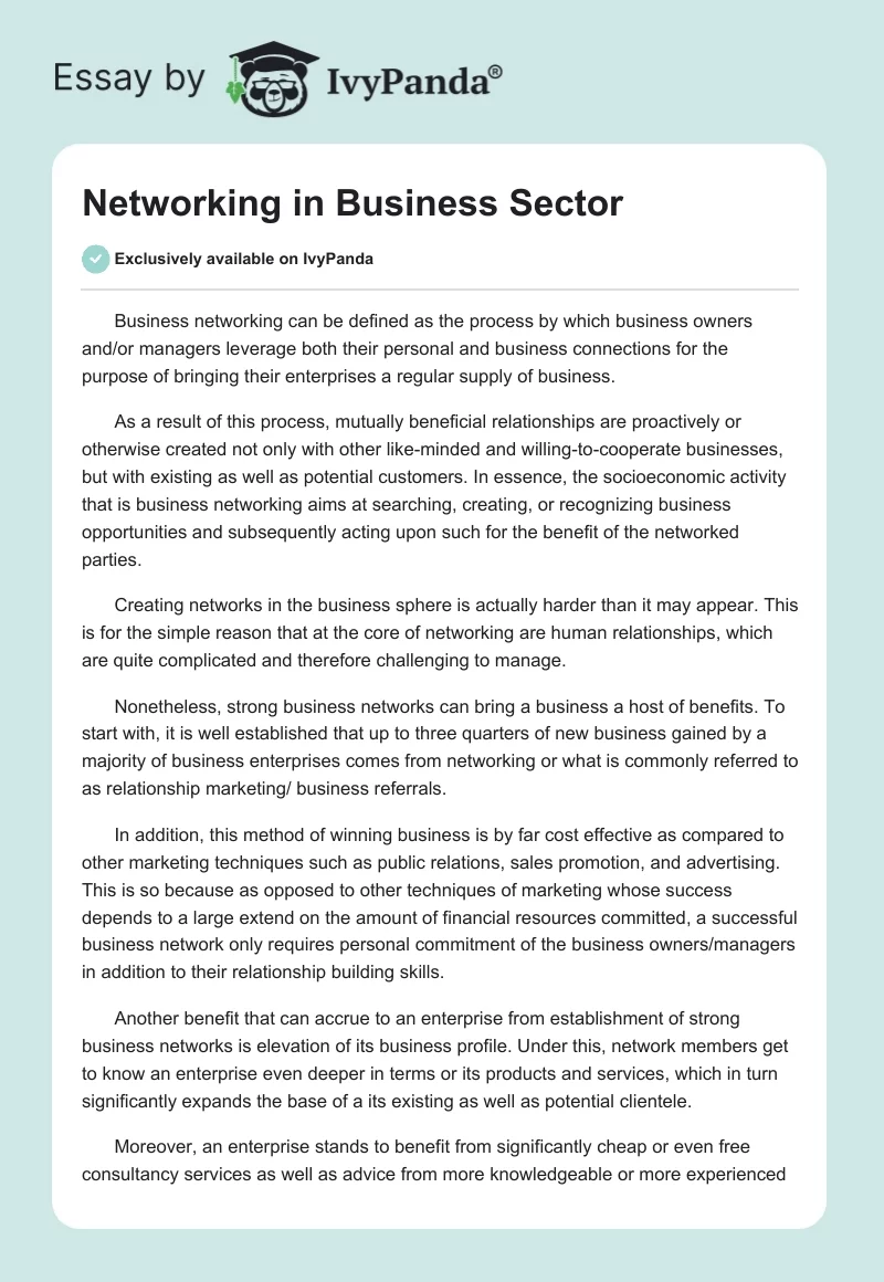 Networking in Business Sector. Page 1