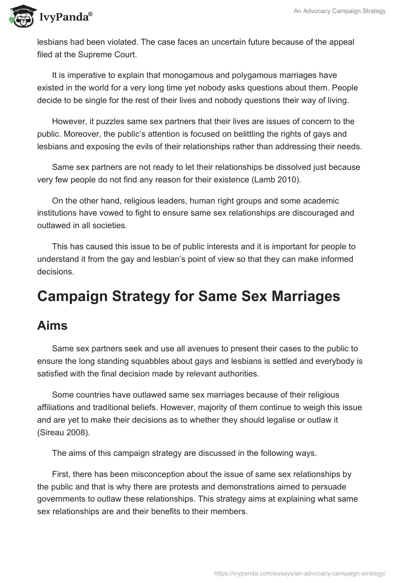 An Advocacy Campaign Strategy. Page 2