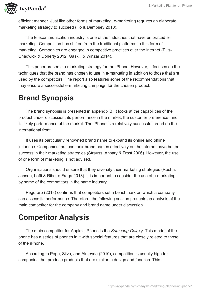 E-Marketing Plan for an iPhone. Page 2