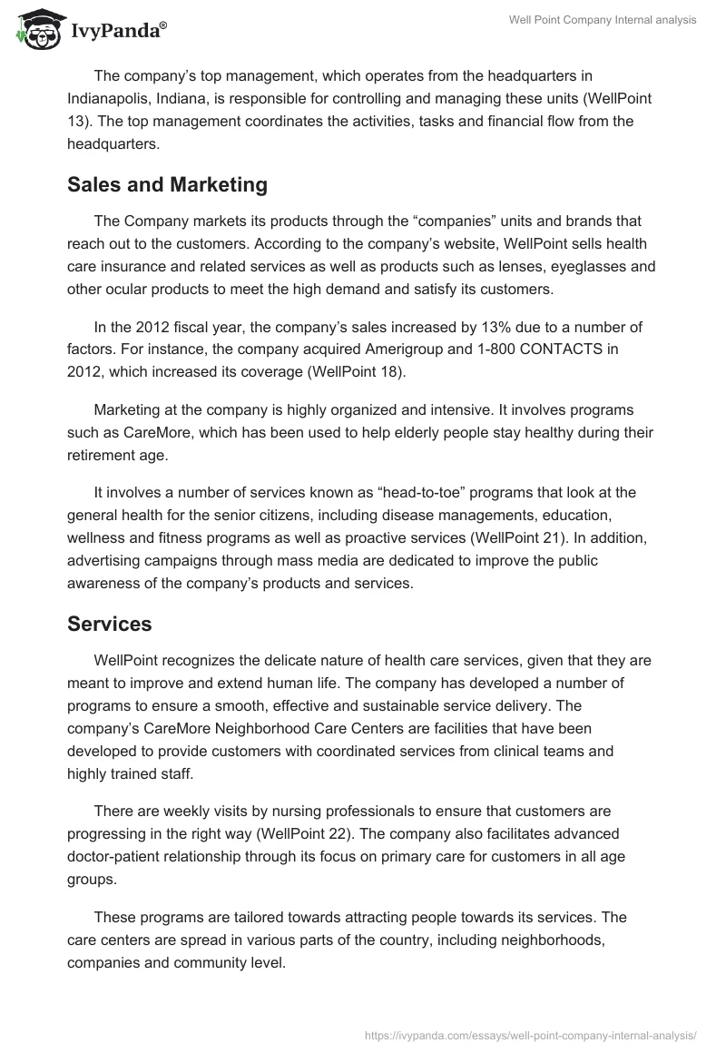 Well Point Company Internal analysis. Page 3
