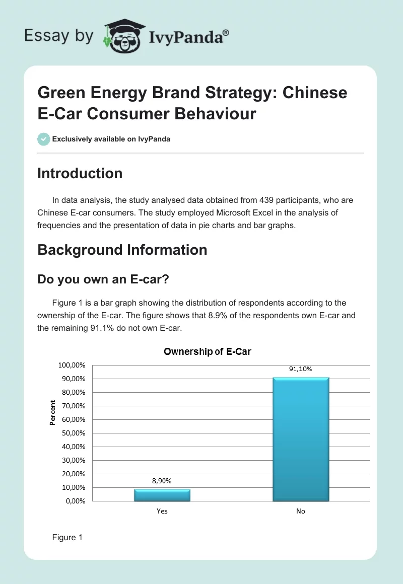 Green Energy Brand Strategy: Chinese E-Car Consumer Behaviour. Page 1