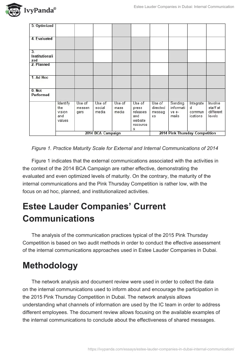 Estee Lauder Companies in Dubai: Internal Communication. Page 3