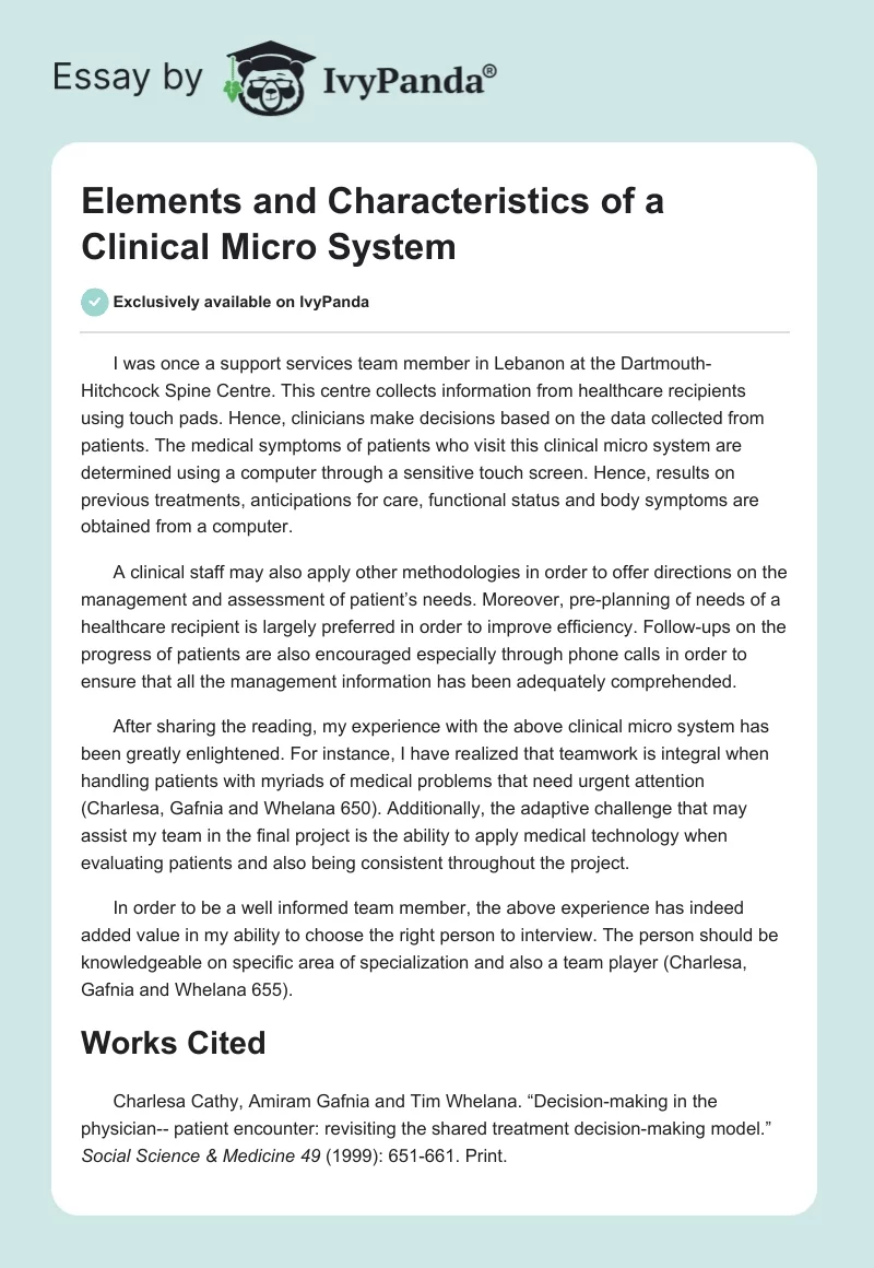 Elements and Characteristics of a Clinical Micro System. Page 1