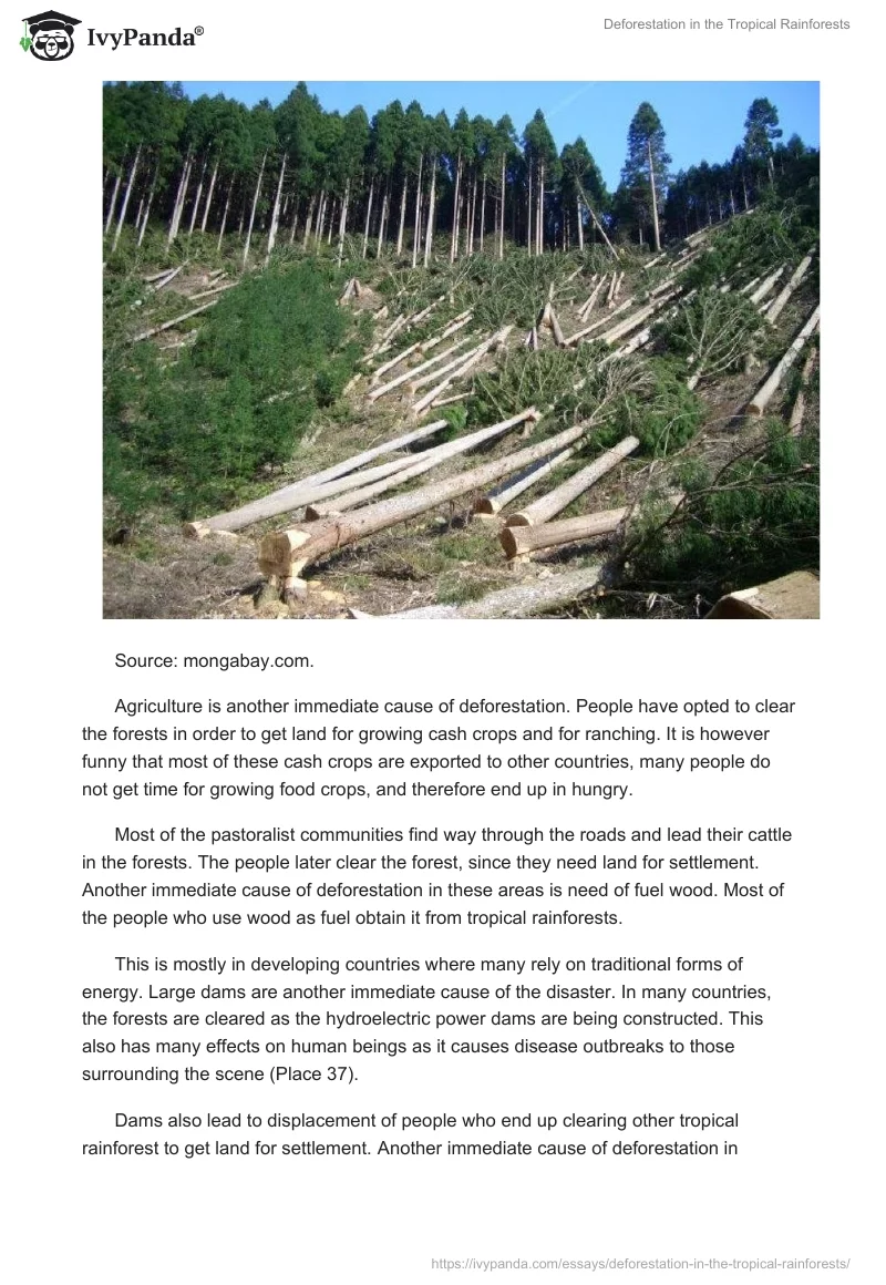 Deforestation in the Tropical Rainforests. Page 3