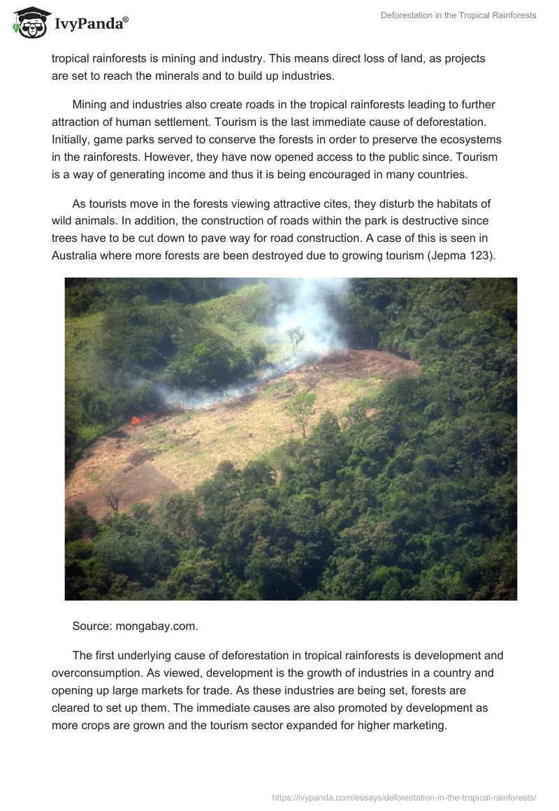 Deforestation in the Tropical Rainforests. Page 4